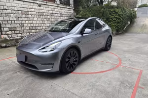 Tesla Model Y performance 