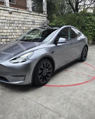 Tesla Model Y performance 
