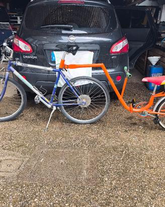 Cammellino bicicletta