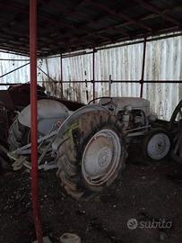 Trattore d'epoca fergusson