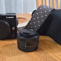 lumix gx80