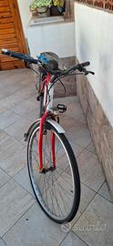bicicletta experia