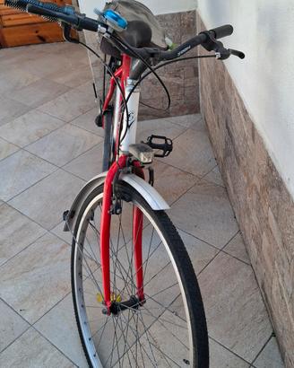 bicicletta experia
