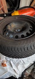 gomme neve