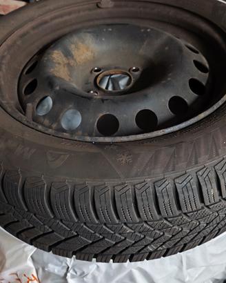 gomme neve