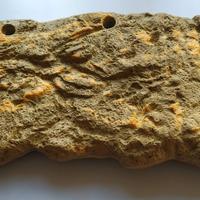 ISOLA GALLEGGIANTE PER TARTARUGHE