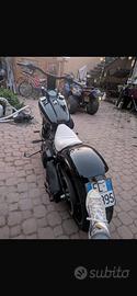 Harley davidson softail