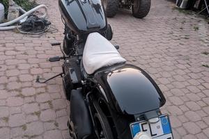 Harley davidson softail