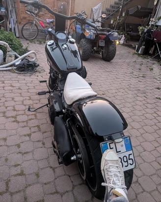 Harley davidson softail
