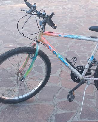 mountainbike