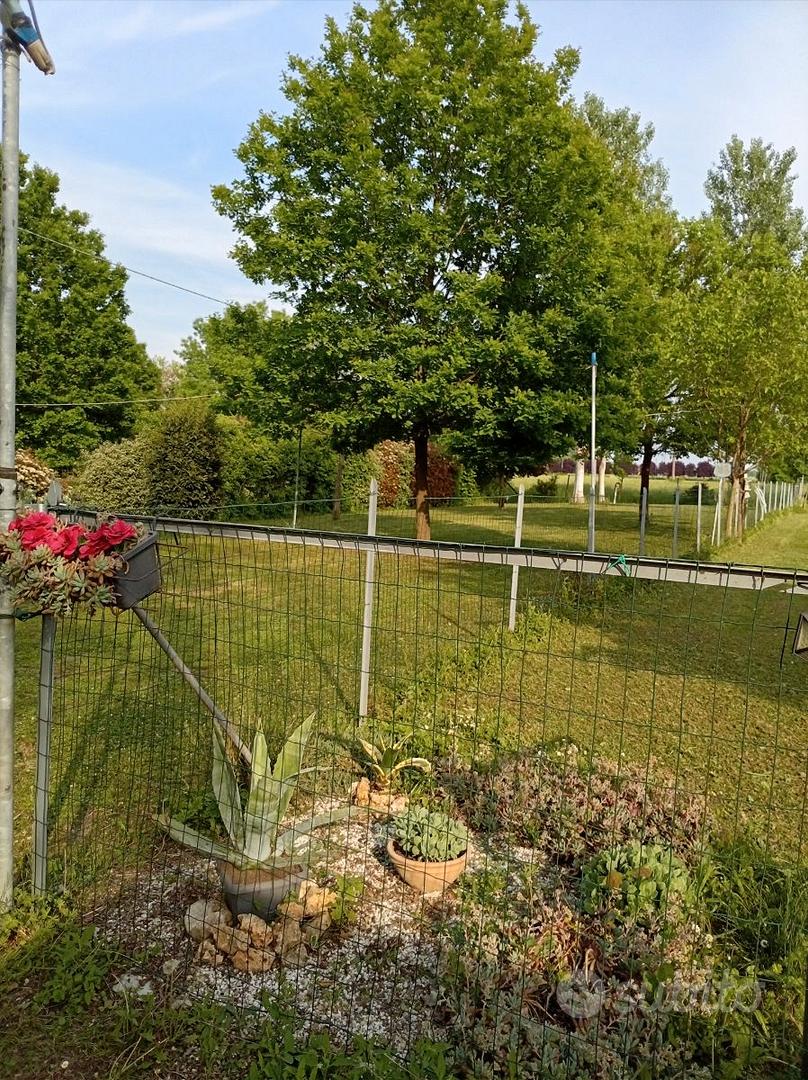 Terreno agricolo - Altro
