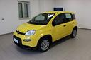 fiat-panda-1-0-firefly-s-s-hybrid-pandina