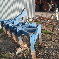 Ripuntatore più estirpatore