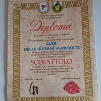 Diploma Giovani Marmotte Scoiattolo