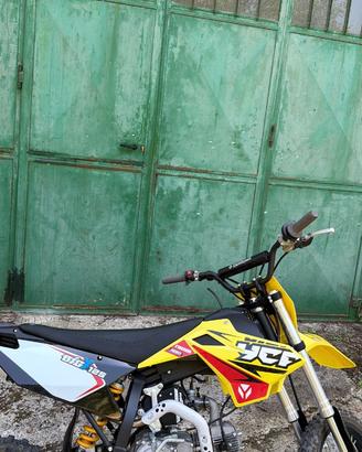 Pit bike YCF BIGY125