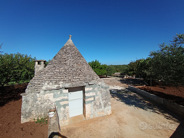 Terreno rustico con trullo contrada Lama Colonna