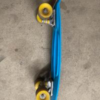 Skateboard Roces