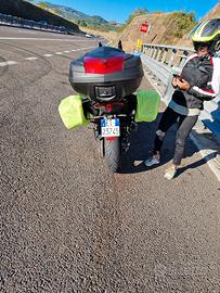 Tmax borse laterali da viaggio 