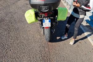 Tmax borse laterali da viaggio 