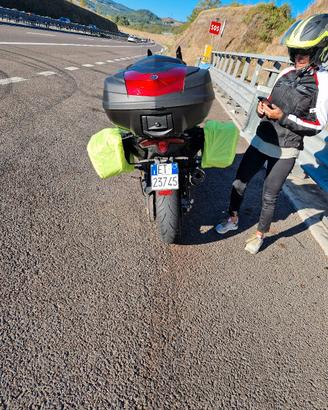 Tmax borse laterali da viaggio 