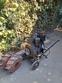 giardino.  motocoltivatore  e motore lombardini 