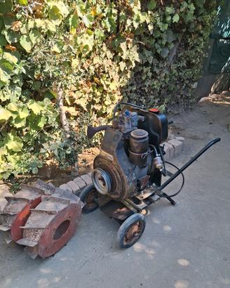 giardino.  motocoltivatore  e motore lombardini 
