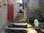 Immagine 26