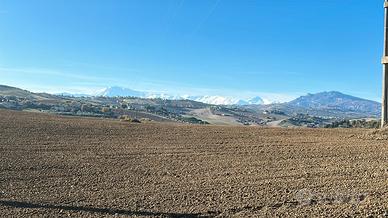 Casolare con terreno agricolo