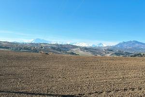 Casolare con terreno agricolo