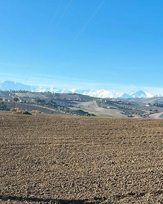 Casolare con terreno agricolo