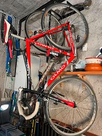 BICICLETTA OLMO