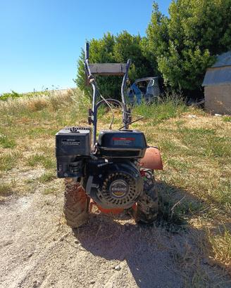 motocoltivatore motozappa
