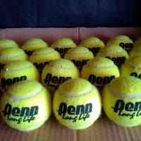 Palline da Tennis Penn 'Long Life'