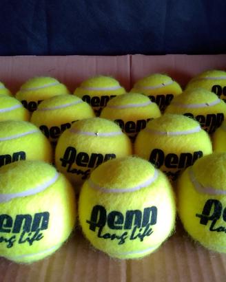 Palline da Tennis Penn 'Long Life'