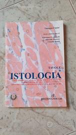 Tavole istologiche Cimini idelson gnocchi 