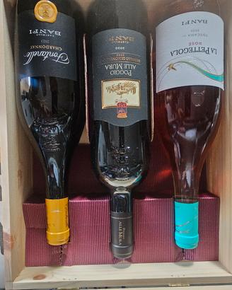 bottiglie di vino 