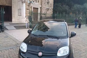 panda 2024 nuova 