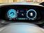 Immagine 11
