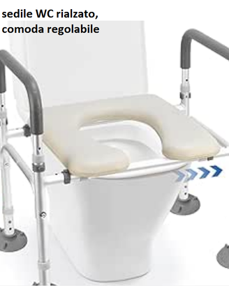 sedile wc o bidè