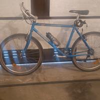 MTB  uomo 