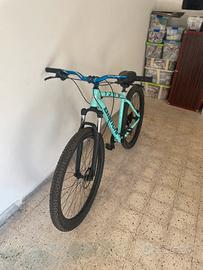 Bianchi Duel 29