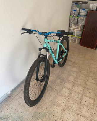 Bianchi Duel 29