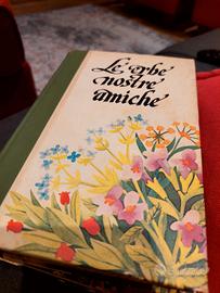 Le nostre erbe amiche conoscere le erbe