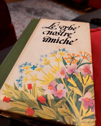 Le nostre erbe amiche conoscere le erbe