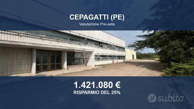Immobile in asta di 68784 m² a Cepagatti