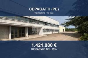 Immobile in asta di 68784 m² a Cepagatti