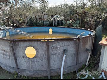 piscina bestway rotonda
