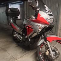 Honda Transalp XL 650 V 