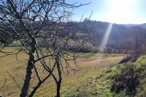 Terreno Ex Vigna+Bosco Ceduo 6800mqx2 euro al mq