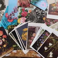 SOSPESO. Sarà disponibile prossimamente Chiedi